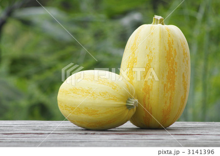 ソウメンウリ ソウメンウリ 3141396