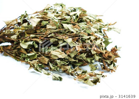乾燥ドクダミ・十薬作り横位置 3141639