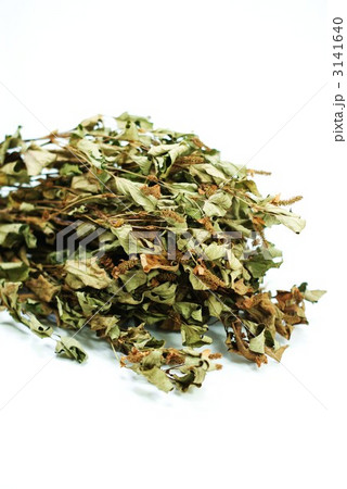 乾燥ドクダミ・十薬作り縦位置 3141640