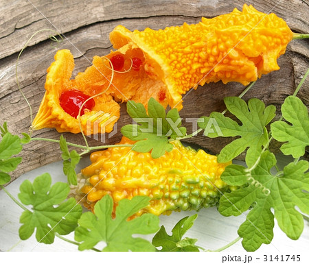 完熟ゴーヤーの種と実 3141745