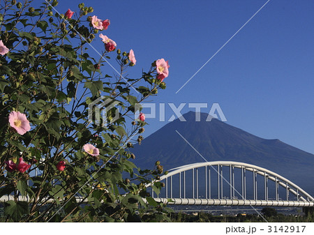 papa.526 papa.526 3142917