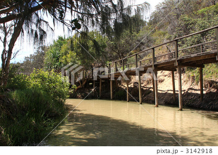 オーストラリア・フレーザーアイランド・イーライクリーク 3142918