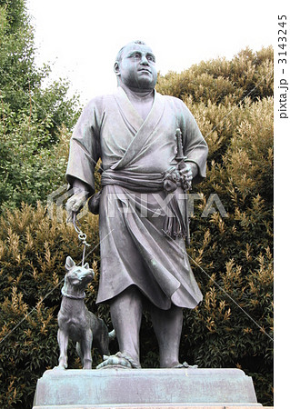 上野の西郷さん 上野の西郷さん 3143245
