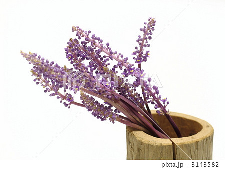 ヤブランの花 3143582
