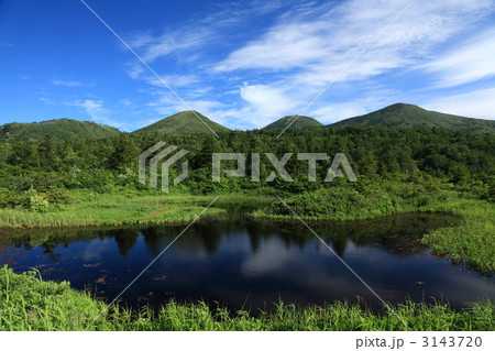 夏の八甲田　睡蓮沼 3143720
