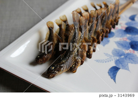 カジカの串焼き 3143969