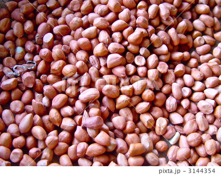 ピーナッツ（ハノイ／ベトナム） 3144354