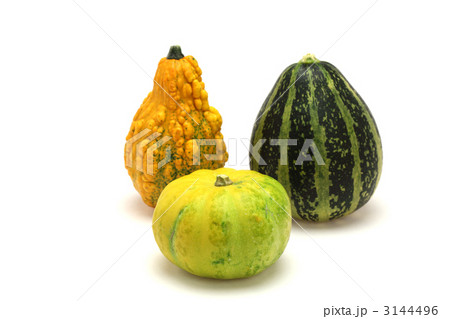 観賞用かぼちゃ 観賞用かぼちゃ 3144496