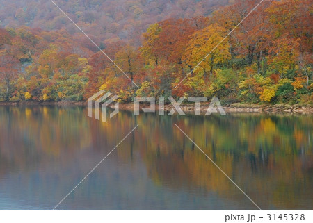 湖水錦彩 3145328