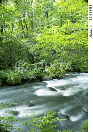 奥入瀬渓流 奥入瀬渓流 3145391