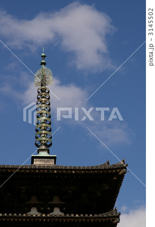 薬師寺東塔 3145502