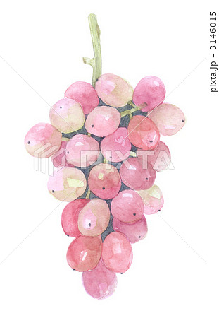 ロザリオロッソ　葡萄 3146015