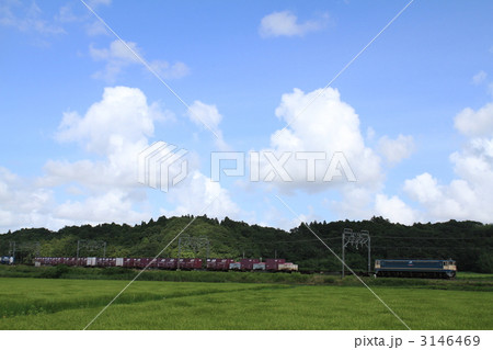 総武本線貨物列車 3146469