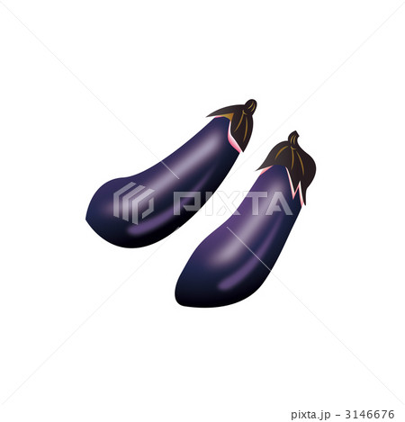 茄子のイラスト 3146676