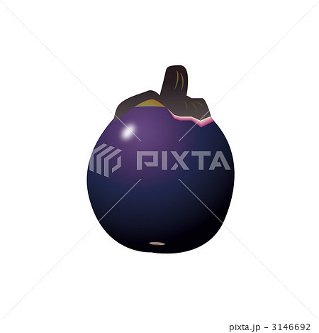 丸茄子のイラスト 3146692