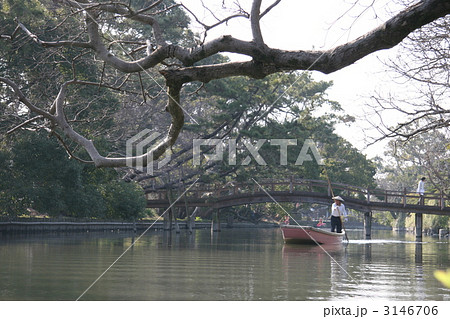 柳川のどんこ舟 3146706