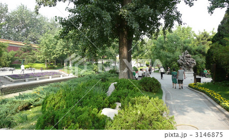 菖蒲河公園 菖蒲河公園 3146875