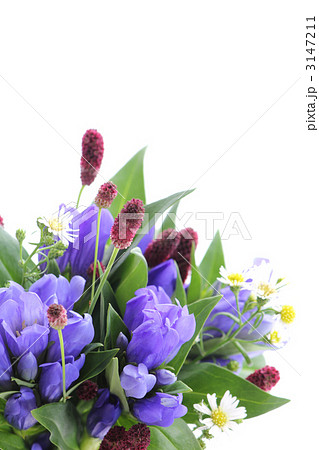 リンドウのアレンジ（縦） 3147211