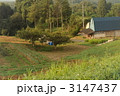 岩手県奥州市の風景 3147437