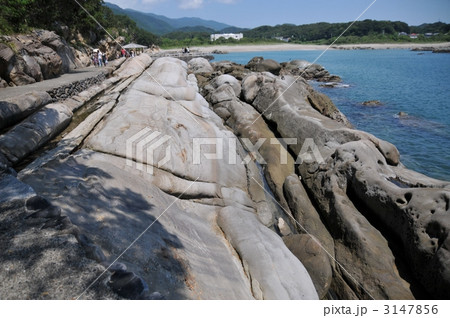 竜串海岸 3147856