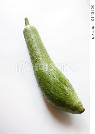 へちま へちま 3148250