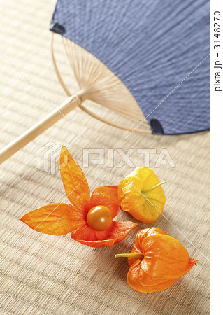 ほおずきの夏イメージ 3148270