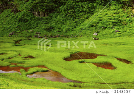 立山・室堂 血の池 立山・室堂 血の池 3148557