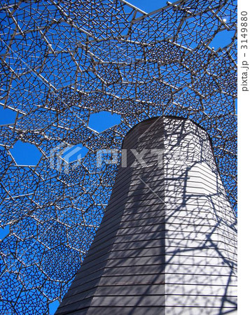 六甲枝垂れ 3149880