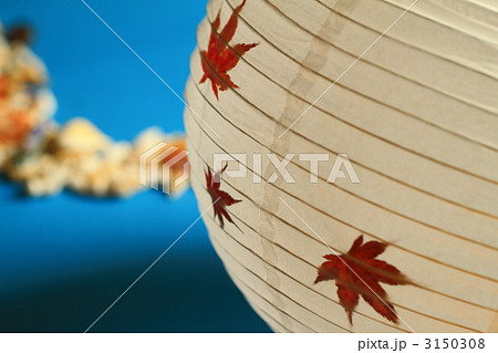 夏から秋へ 3150308