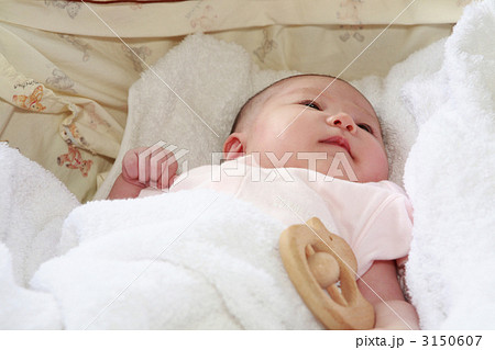 クーファンに横たわる赤ちゃんヒヨコのガラガラ 3150607