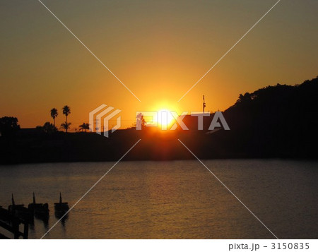 屋久島の朝 3150835