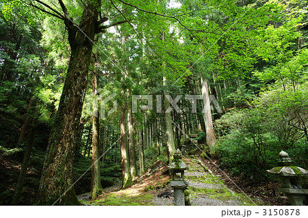 安養寺 安養寺 3150878
