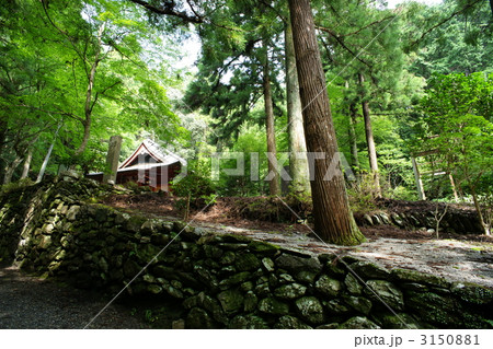 安養寺 安養寺 3150881