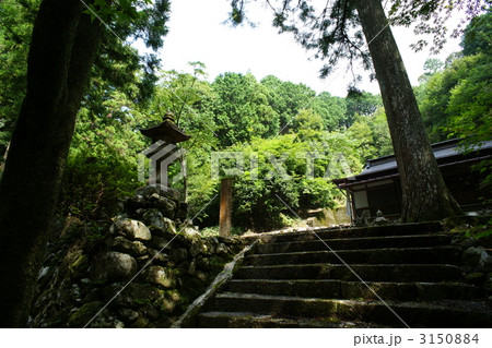 安養寺 安養寺 3150884