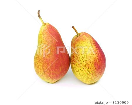 フォレレピアー 3150909