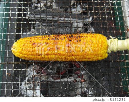 焼きトウモロコシ 3151231