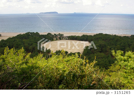 寛永通宝 寛永通宝 3151265