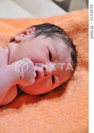 生まれたての赤ちゃん 3153639