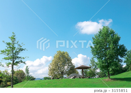 真夏の公園 真夏の公園 3155851
