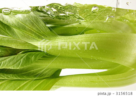 野菜を洗う 3156518