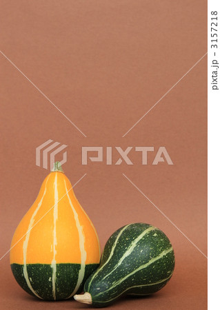 おもちゃ南瓜 おもちゃ南瓜 3157218