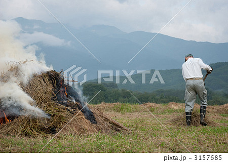 焼畑 3157685