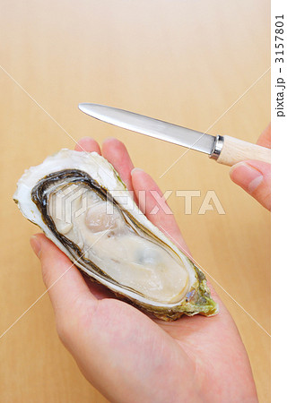 牡蠣むき 3157801