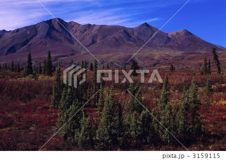 紅葉に染まるフォールド山の上に伸びる巻雲 3159115