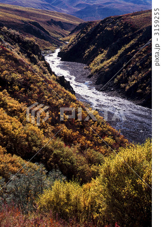 紅葉のリル・クリーク 3159255