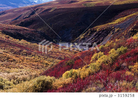 紅葉のリル・クリーク 3159258