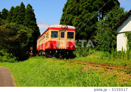 3159317
