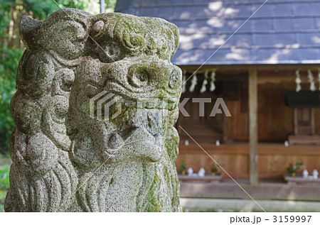 狛犬 狛犬 3159997