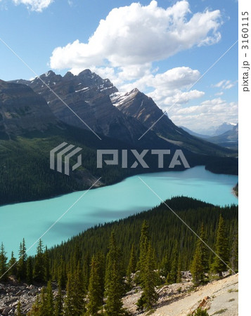 ペイトーレイク ペイトーレイク 3160115