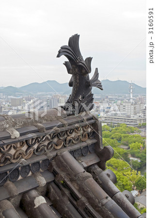 姫路城　大天守の鯱瓦 3160591